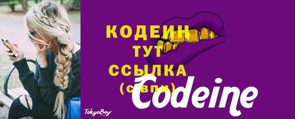 твердый Корсаков