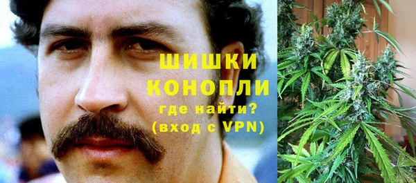 твердый Корсаков