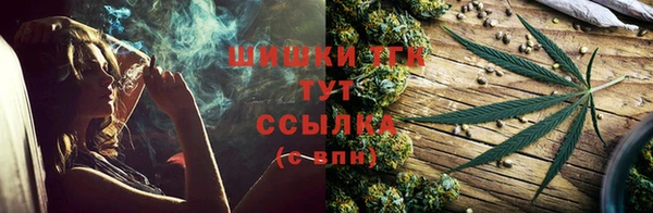 соль ск Кодинск